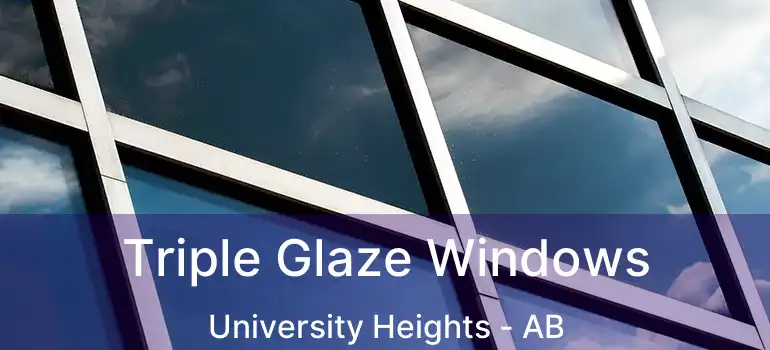  Triple Glaze Windows University Heights - AB