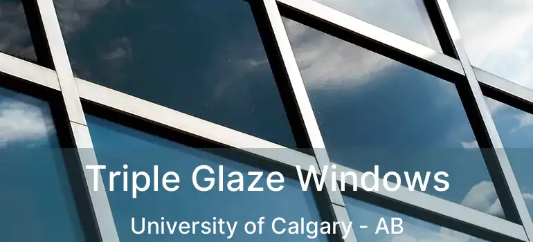  Triple Glaze Windows University of Calgary - AB