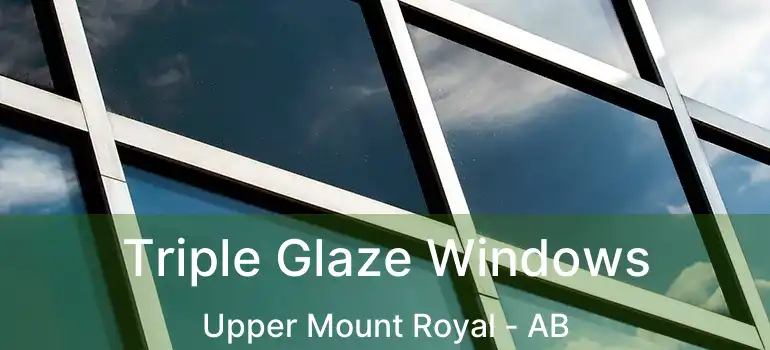  Triple Glaze Windows Upper Mount Royal - AB