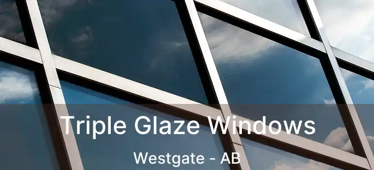  Triple Glaze Windows Westgate - AB
