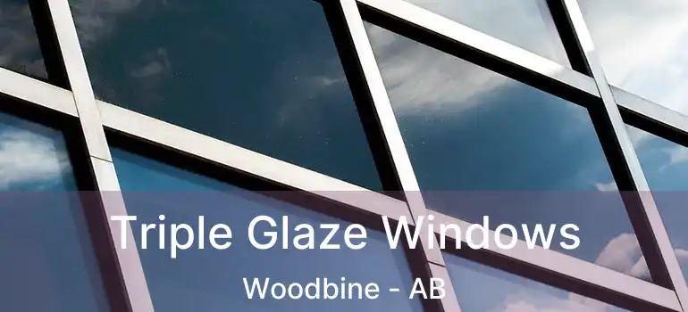  Triple Glaze Windows Woodbine - AB