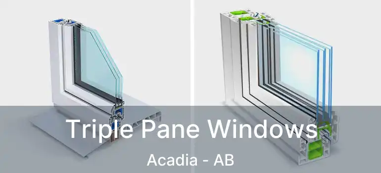  Triple Pane Windows Acadia - AB