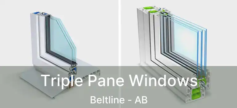  Triple Pane Windows Beltline - AB