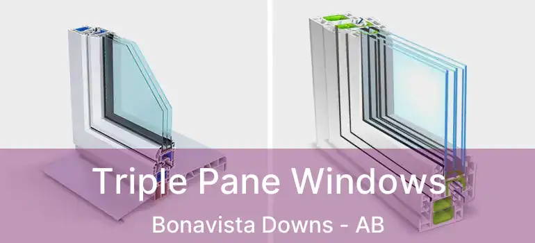  Triple Pane Windows Bonavista Downs - AB