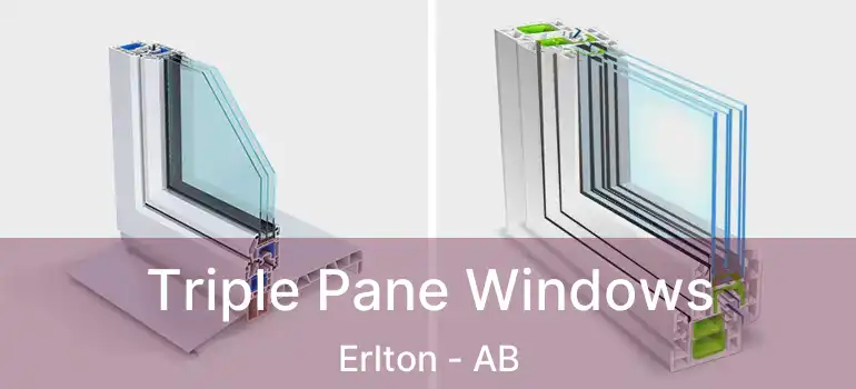  Triple Pane Windows Erlton - AB