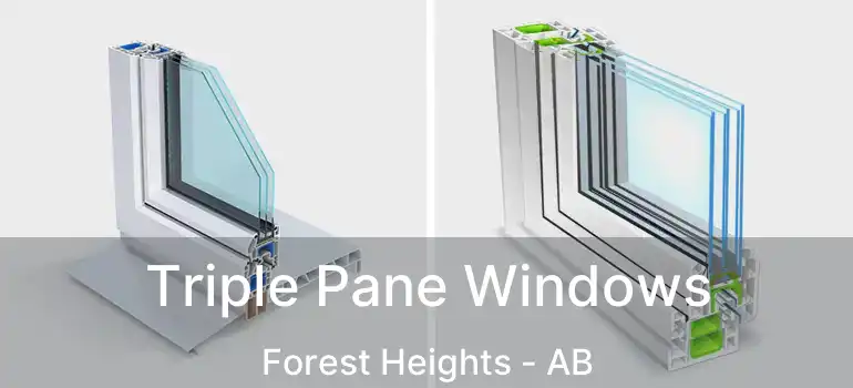  Triple Pane Windows Forest Heights - AB