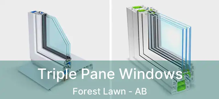  Triple Pane Windows Forest Lawn - AB