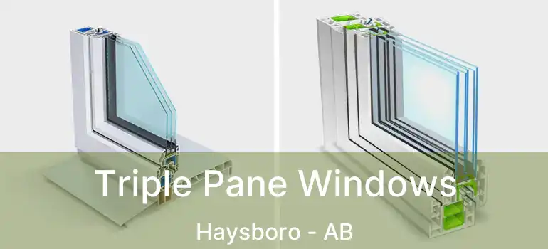  Triple Pane Windows Haysboro - AB