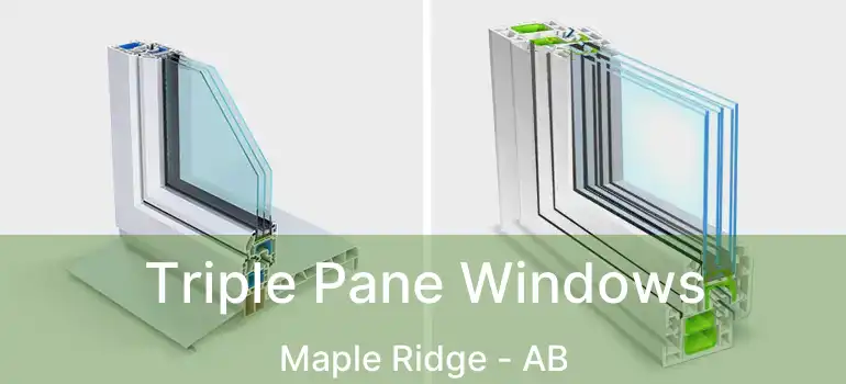  Triple Pane Windows Maple Ridge - AB
