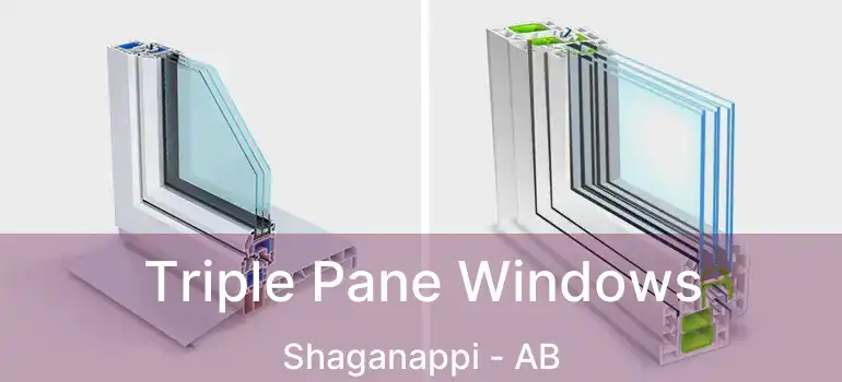  Triple Pane Windows Shaganappi - AB