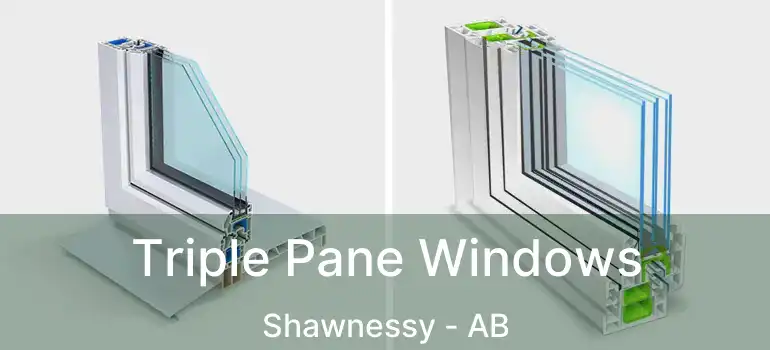  Triple Pane Windows Shawnessy - AB
