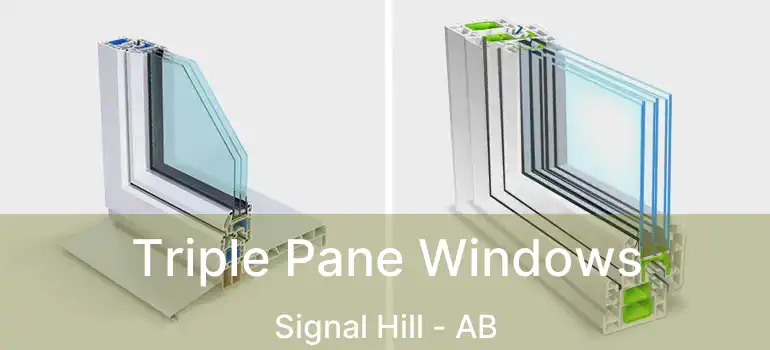  Triple Pane Windows Signal Hill - AB