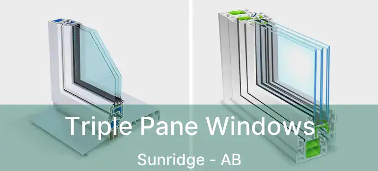  Triple Pane Windows Sunridge - AB