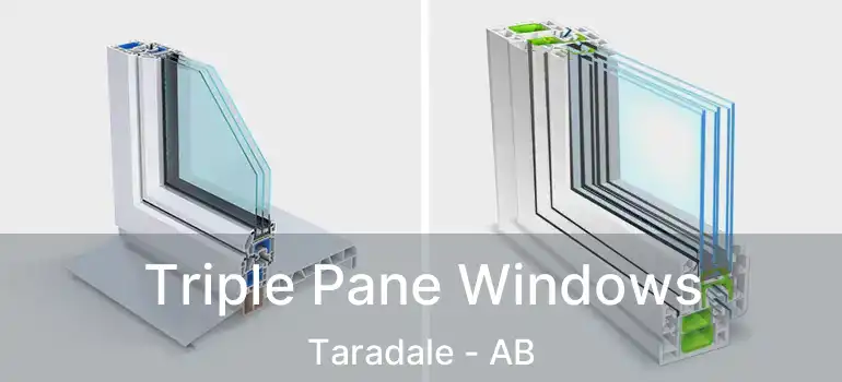  Triple Pane Windows Taradale - AB