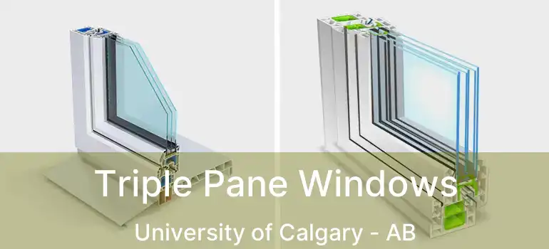 Triple Pane Windows University of Calgary - AB