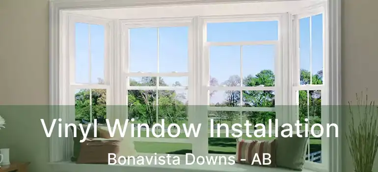  Vinyl Window Installation Bonavista Downs - AB
