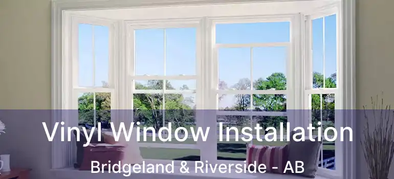  Vinyl Window Installation Bridgeland & Riverside - AB