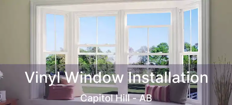  Vinyl Window Installation Capitol Hill - AB
