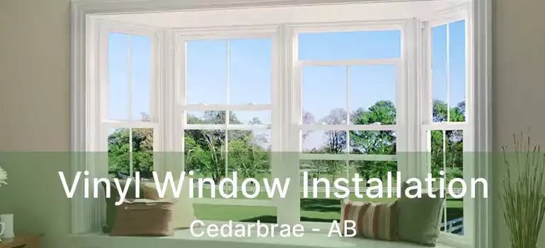  Vinyl Window Installation Cedarbrae - AB
