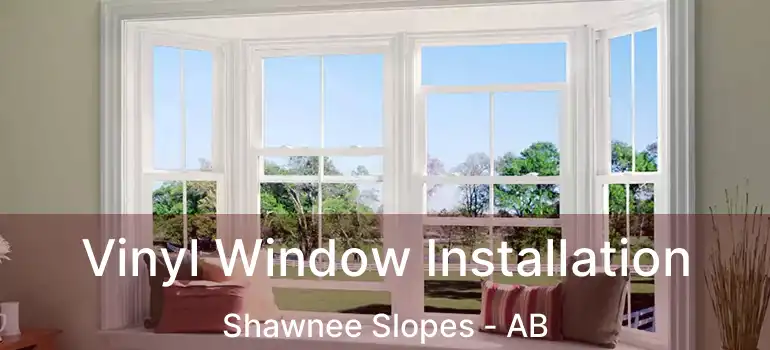  Vinyl Window Installation Shawnee Slopes - AB