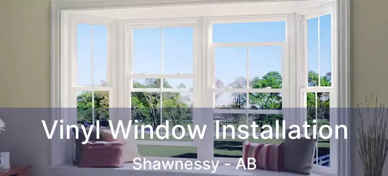 Vinyl Window Installation Shawnessy - AB