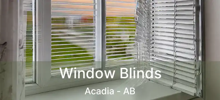  Window Blinds Acadia - AB
