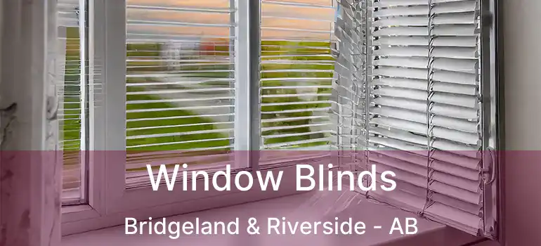  Window Blinds Bridgeland & Riverside - AB
