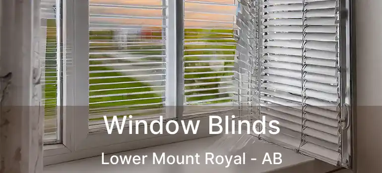  Window Blinds Lower Mount Royal - AB