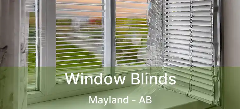  Window Blinds Mayland - AB