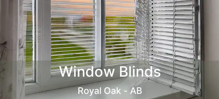  Window Blinds Royal Oak - AB
