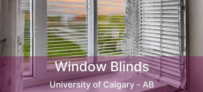  Window Blinds University of Calgary - AB