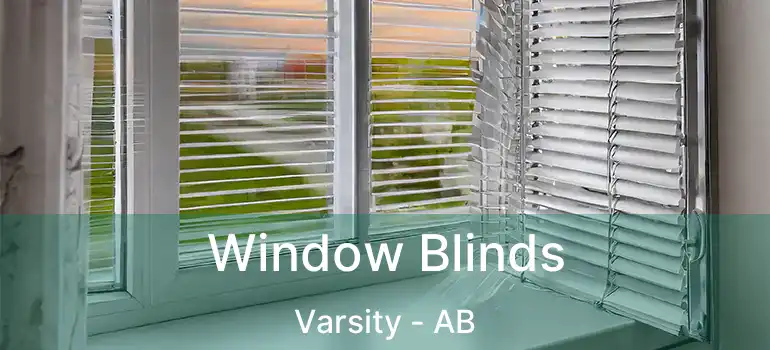  Window Blinds Varsity - AB