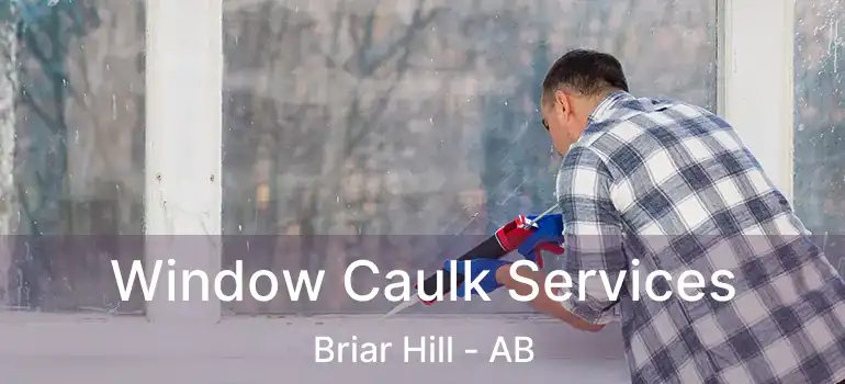  Window Caulk Services Briar Hill - AB
