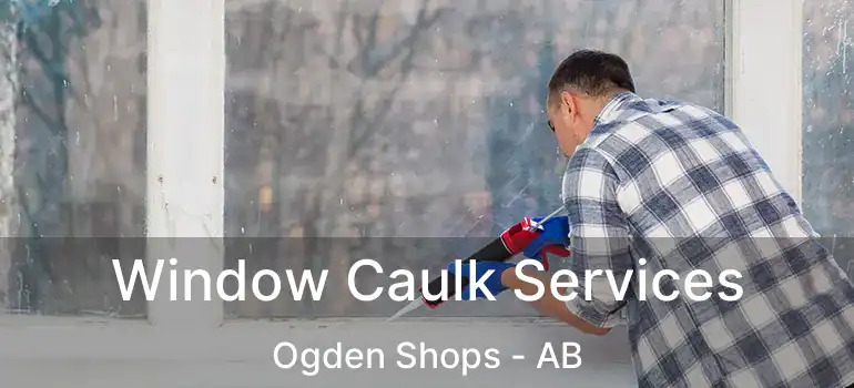  Window Caulk Services Ogden Shops - AB