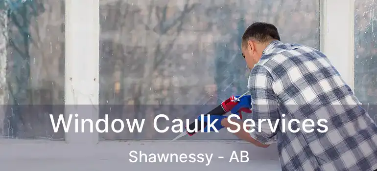  Window Caulk Services Shawnessy - AB