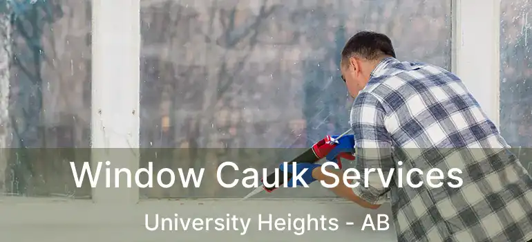  Window Caulk Services University Heights - AB