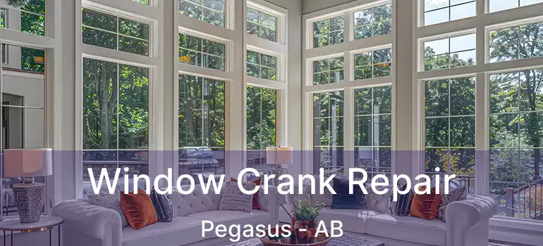  Window Crank Repair Pegasus - AB