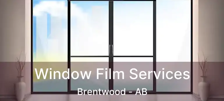  Window Film Services Brentwood - AB
