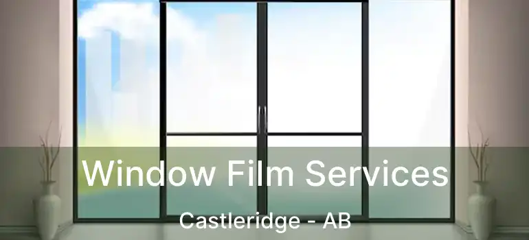  Window Film Services Castleridge - AB