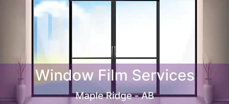  Window Film Services Maple Ridge - AB