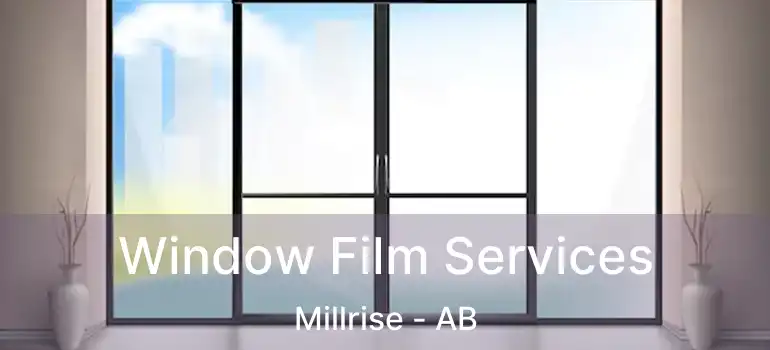  Window Film Services Millrise - AB