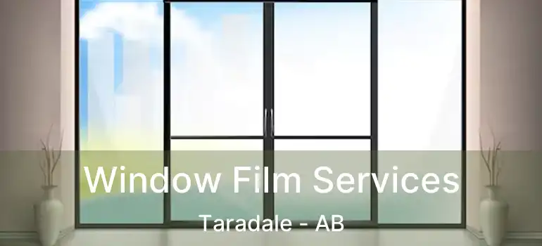  Window Film Services Taradale - AB
