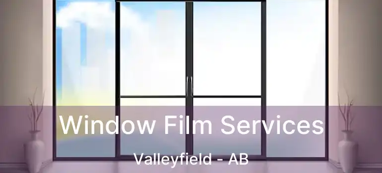  Window Film Services Valleyfield - AB