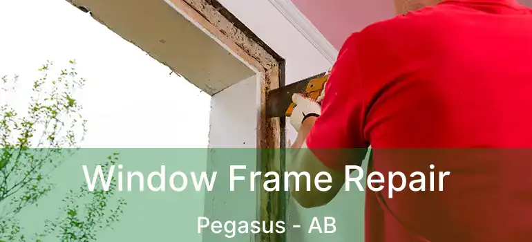  Window Frame Repair Pegasus - AB