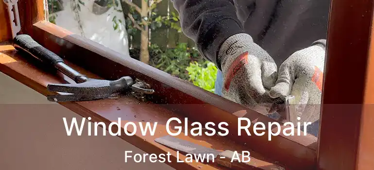  Window Glass Repair Forest Lawn - AB