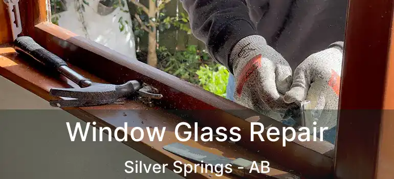  Window Glass Repair Silver Springs - AB