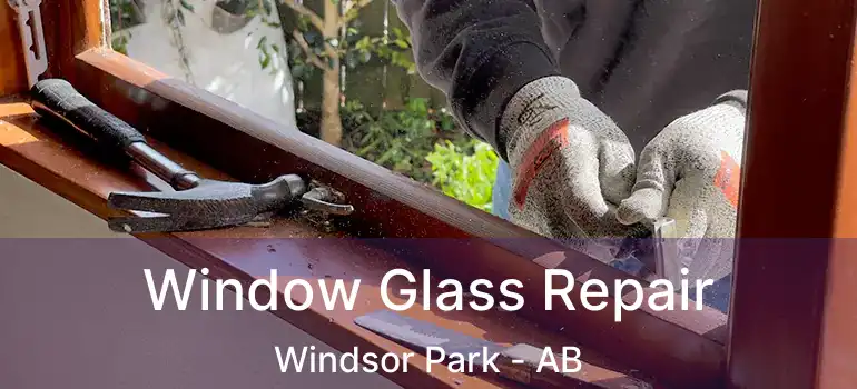  Window Glass Repair Windsor Park - AB