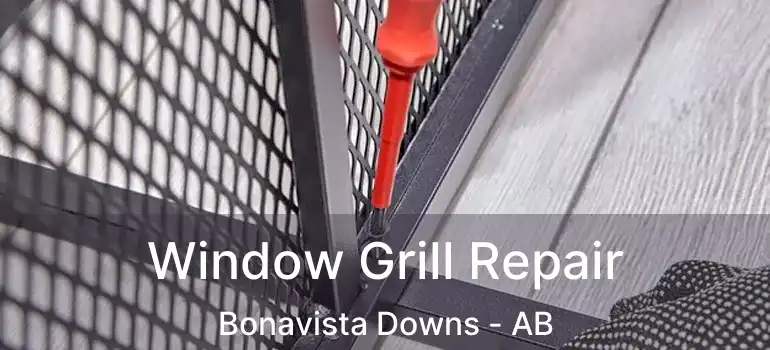  Window Grill Repair Bonavista Downs - AB