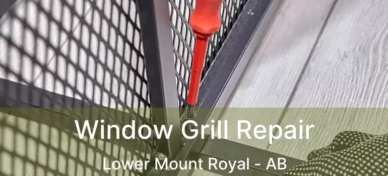  Window Grill Repair Lower Mount Royal - AB