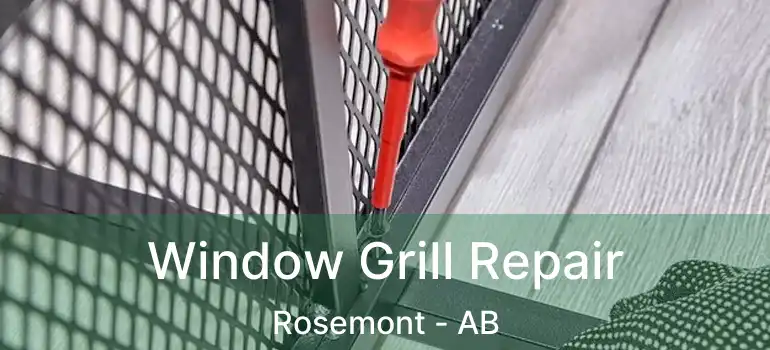  Window Grill Repair Rosemont - AB